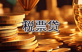 张家界税票贷
